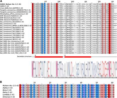 Molecular Mechanism of SARS-CoVs Orf6 Targeting the Rae1–Nup98 Complex to Compete With mRNA Nuclear Export